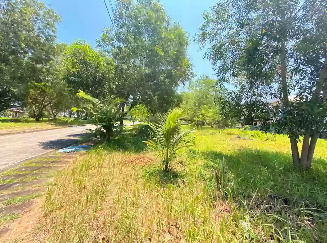 For Sale: Premium Residential Lot in Northcrest, Buhangin, Davao City — 755 sqm — Residential Lot in Davao City, Davao del Sur, 8000 — Photo 3