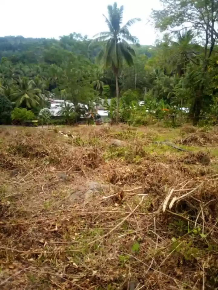 For Sale: 9426 sqm Residential Lot in Talairon, Oroquieta City — Land Banking — Residential Lot in Talairon, Oroquieta City, Misamis Occidental — Photo 3