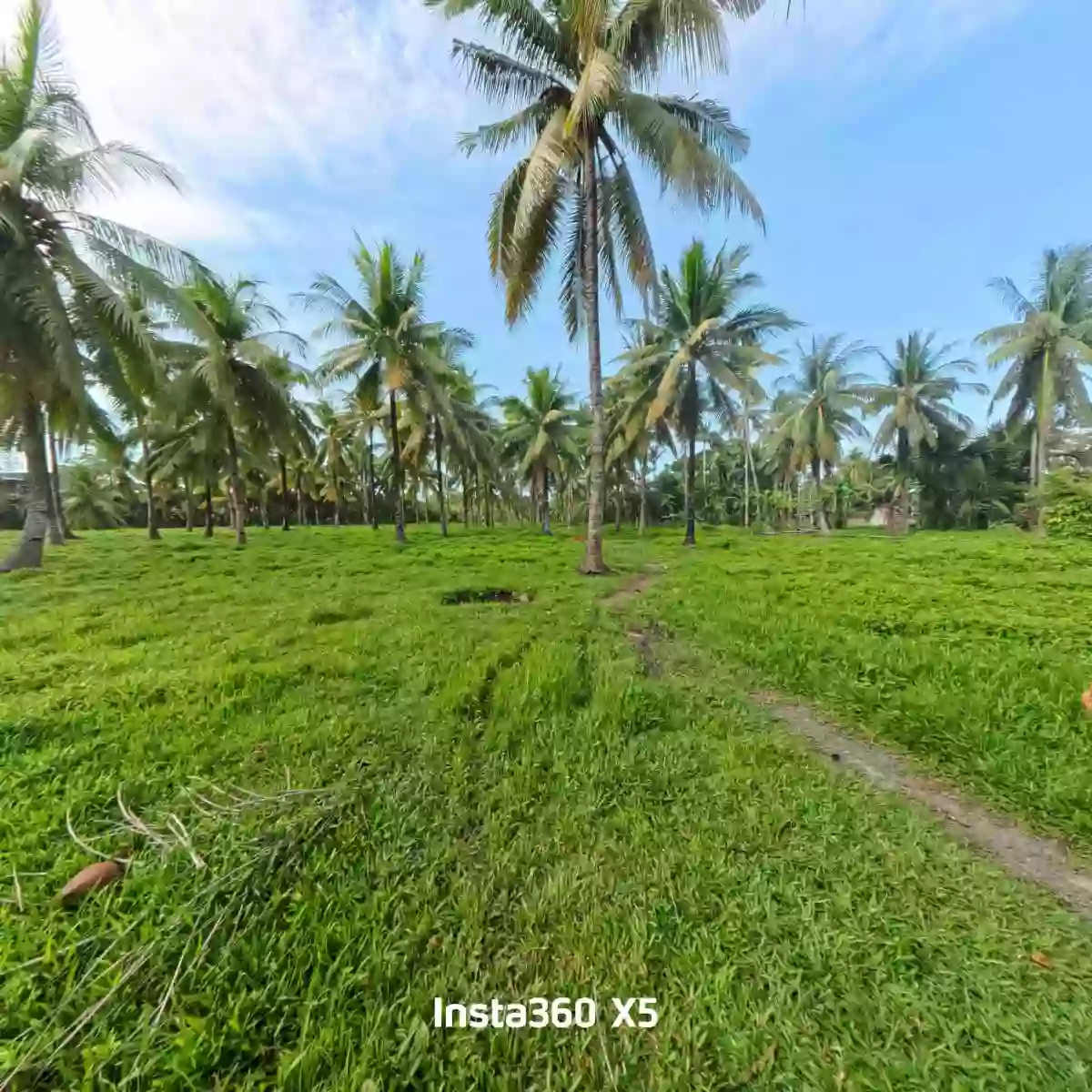 For Sale: Residential Lot Near Tuburan District Hospital, Tuburan — 20000 sqm — Residential Lot in Barangay I (Pob.), Tuburan, Cebu — Photo 4