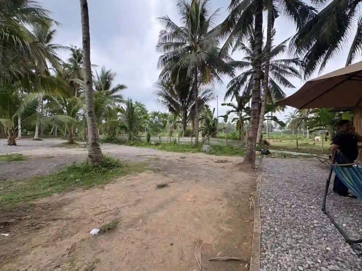 For Sale: Commercial Lot in Katangawan, General Santos City — 5,000 sqm — Commercial Lot in Katangawan, General Santos City, South Cotabato — Photo 5