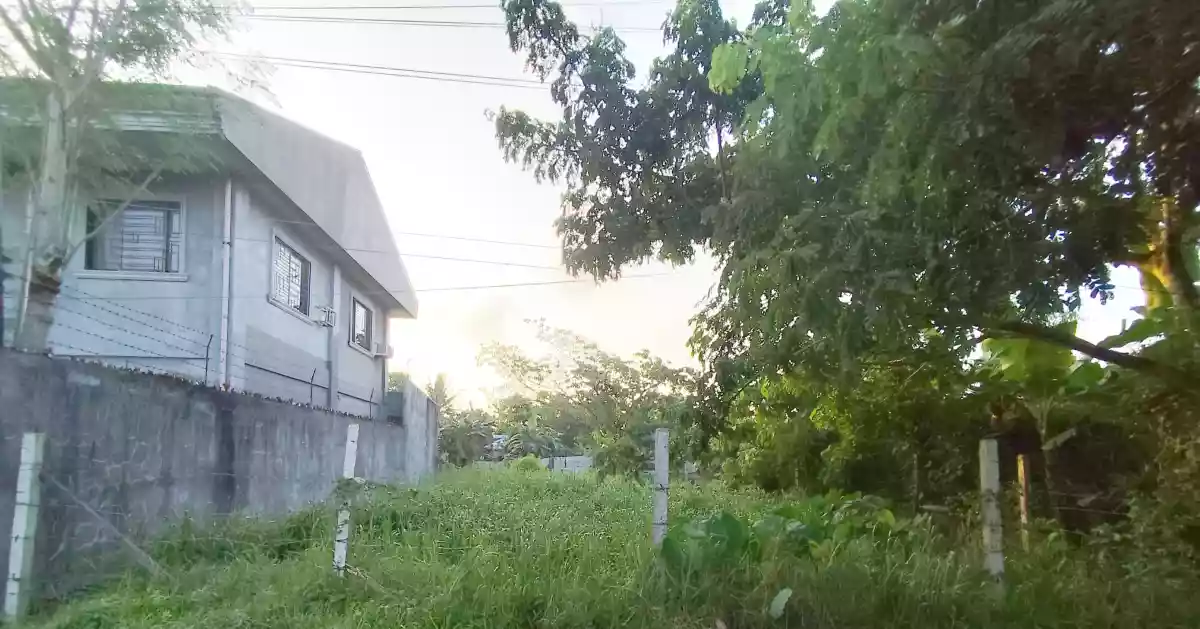 Rush Sale: RESIDENTIAL LOT IN PILI, CAMARINES SUR! 🏡