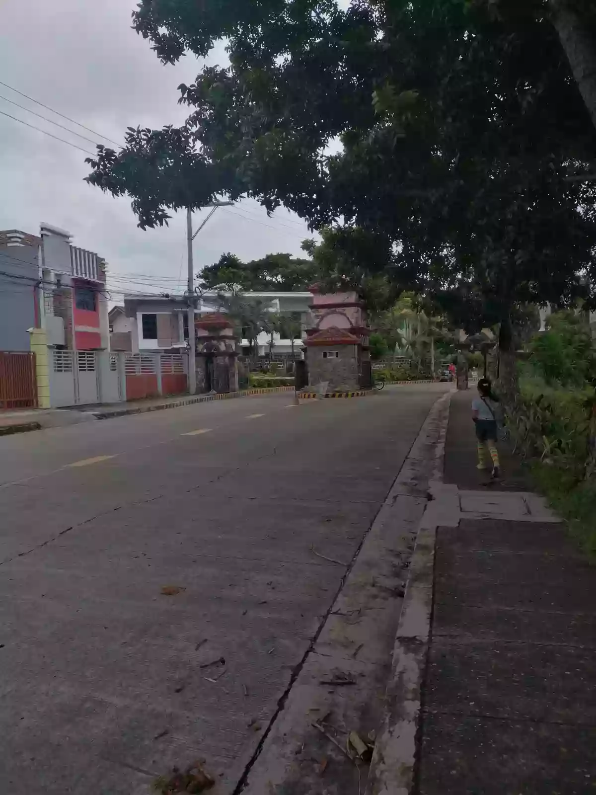 Rush Sale: High-end Lot near City Center with flexible cut. — Residential Lot in Iloilo City, Iloilo, 5000 — Photo 5