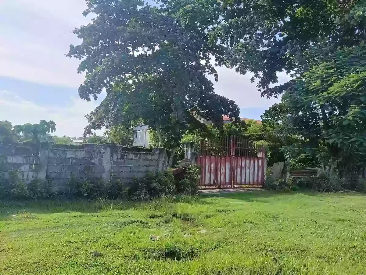 2,000 SQM Prime Industrial Lot for Sale Malagamot Road, Indangan, Buhangin District, Davao City