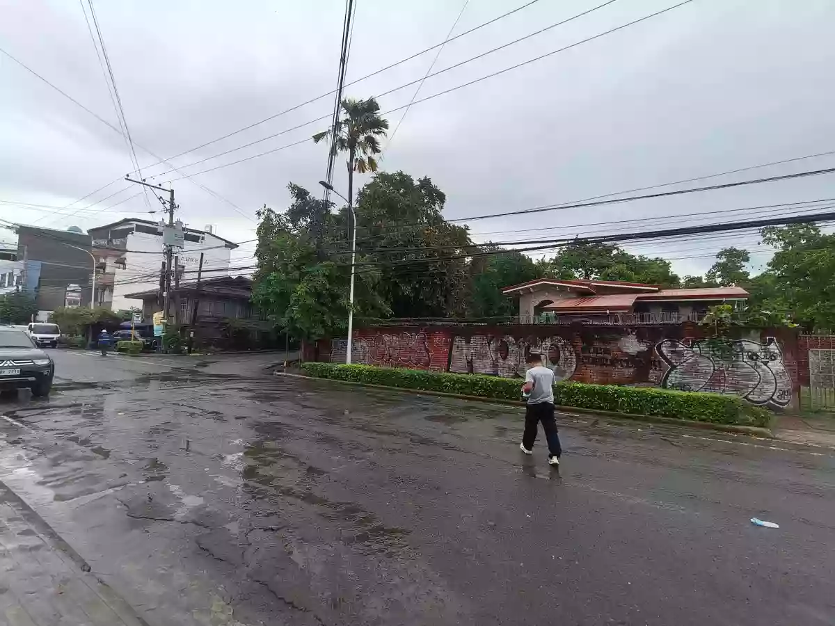 For Sale: Commercial Lot in Guizo, Mandaue City — 2353 sqm — Commercial Lot in Guizo, Mandaue City, Cebu — Photo 4
