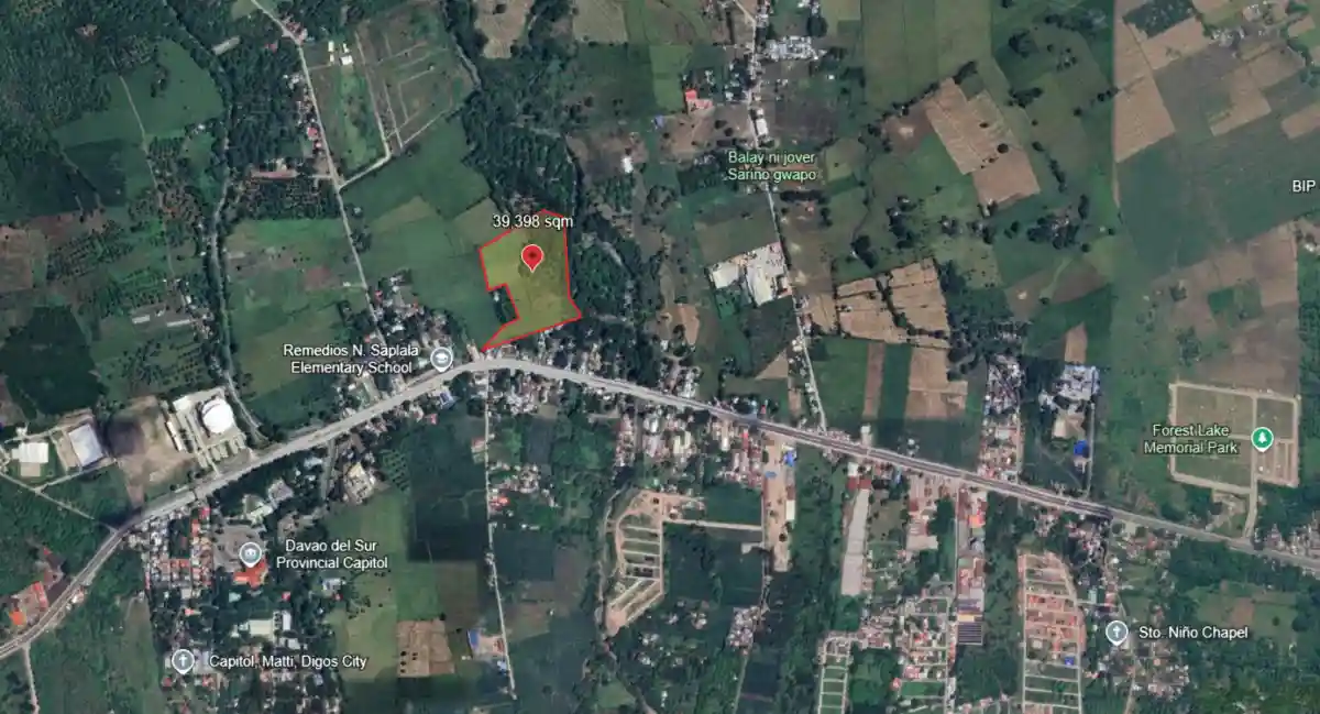 For Sale: Agricultural Lot in Matti, Digos — 40000 sqm along road
