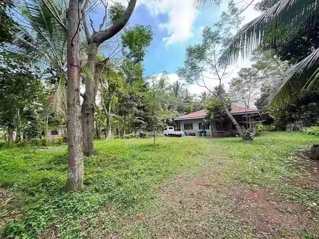 For Sale: 4BR House and Lot in Balubal, Cagayan de Oro City — 953 sqm — House and Lot in Balubal, Cagayan de Oro City, Misamis Oriental — Photo 3