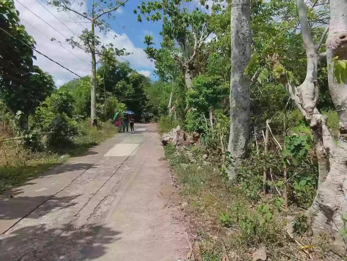 π‘ LOT FOR SALE β Cararayan, Naga City π‘ π Lot Area: 500 SQM π Clean Title β Agricultural Lot in Naga City, Camarines Sur, 4400 β Photo 3