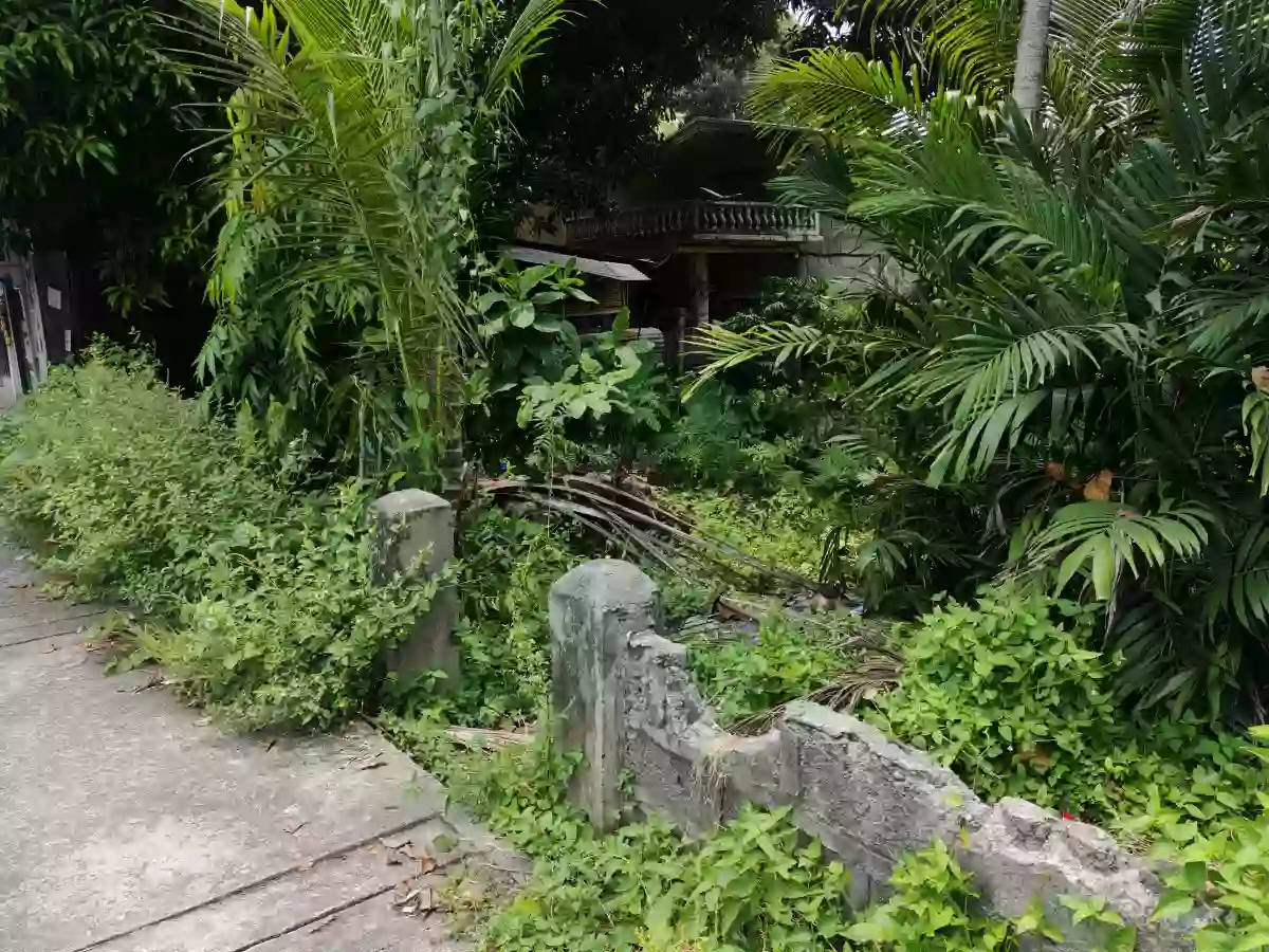 For Sale: Commercial Lot in Zone I, Koronadal — 500 sqm — Commercial Lot in Zone I (Pob.), Koronadal, South Cotabato — Photo 5