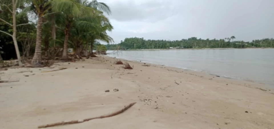 For Sale: Beach Lot in Rizal, Roxas Palawan — 3500 sqm