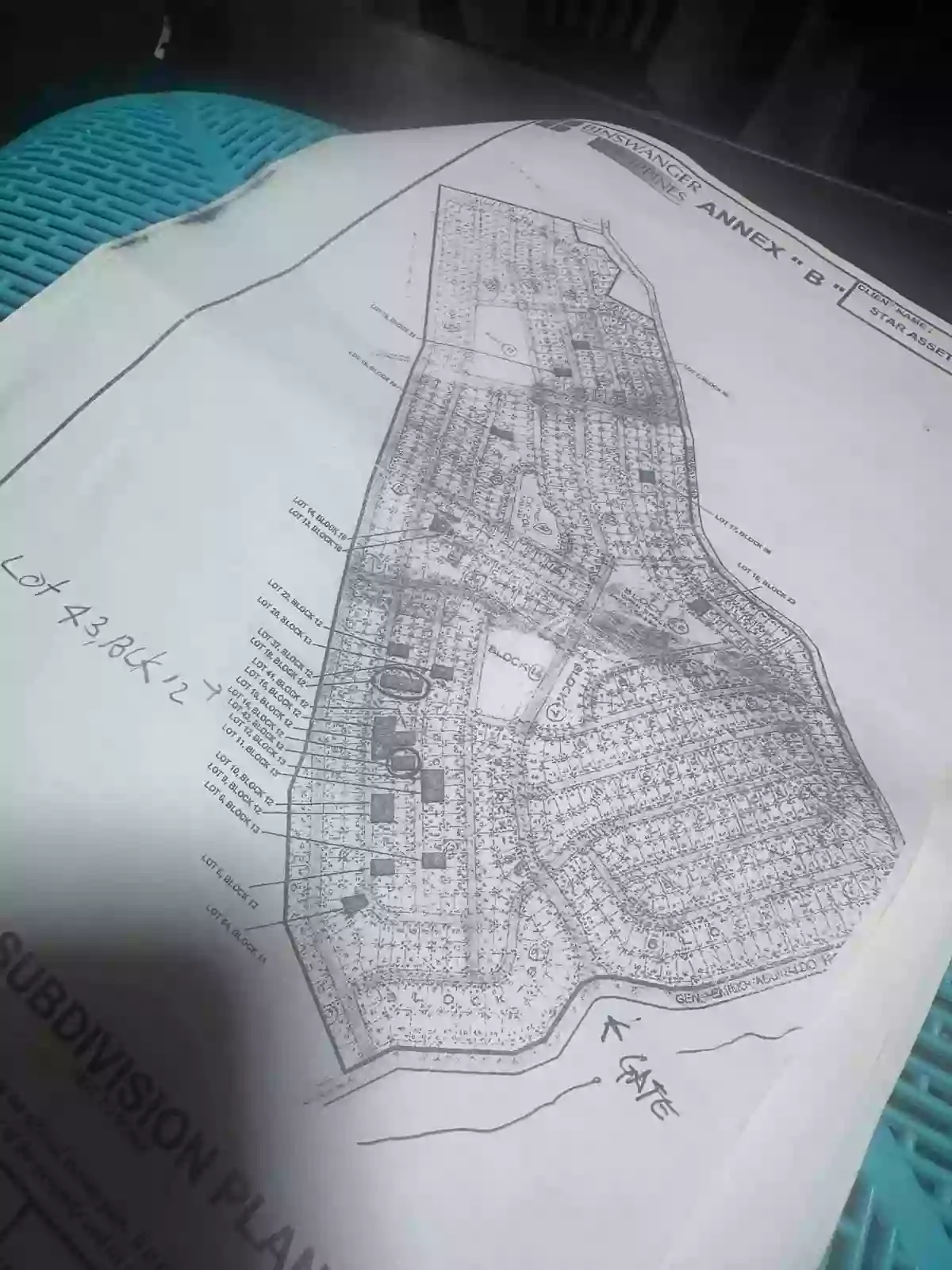 For Sale: Residential Lot in Buck Estate, Alfonso — 375 sqm — Residential Lot in Buck Estate, Alfonso, Cavite — Photo 4