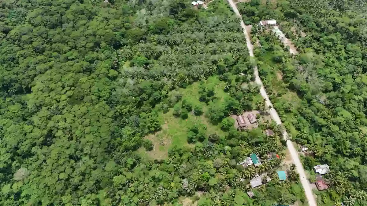 For Sale: Agricultural Lot in Marcelina, Bayugan City — 19550 sqm