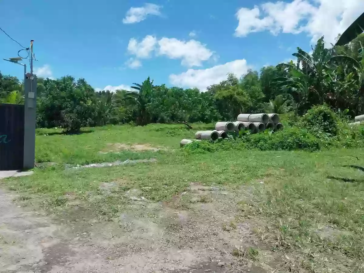 For Sale: Residential Lot Near Spoon Trail,Brgy Alangilan, Bacolod City — 1117 sqm — Residential Lot in Bacolod City, Negros Occidental, 6100 — Photo 5