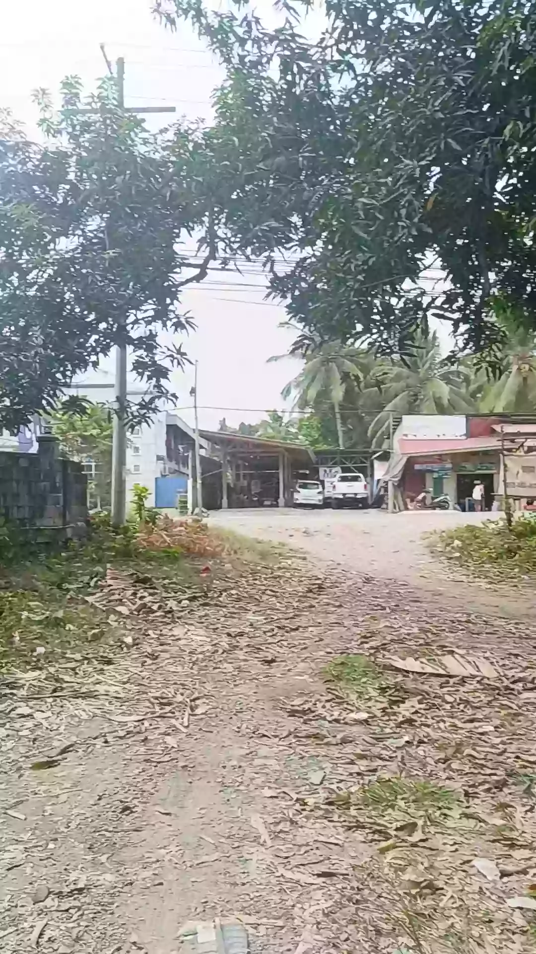 For Sale Commercial Lot in Matiao, Mati City — 7,329 sqm — Commercial Lot in Matiao, Mati, Davao Oriental — Photo 3