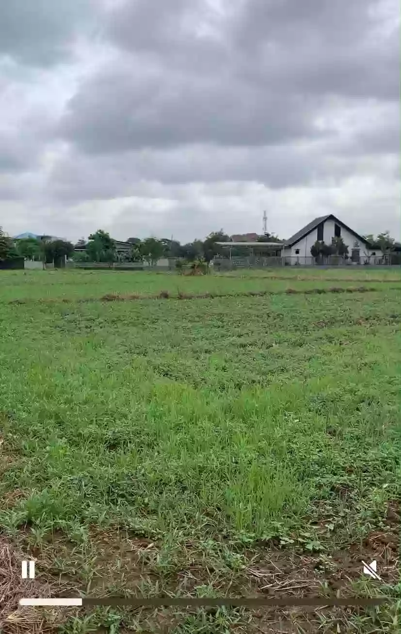 For Sale: Agricultural Lot in Bintog, Plaridel — 3000 sqm