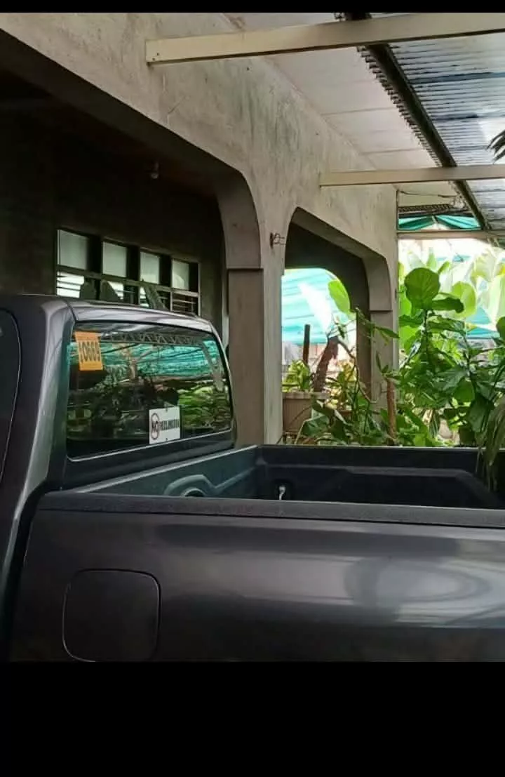 For Sale: 4BR House and Lot in Hibbard  Avenue,Piapi, Dumaguete City — 625 sqm Lot — House and Lot in Piapi, Dumaguete City, Negros Oriental — Photo 3