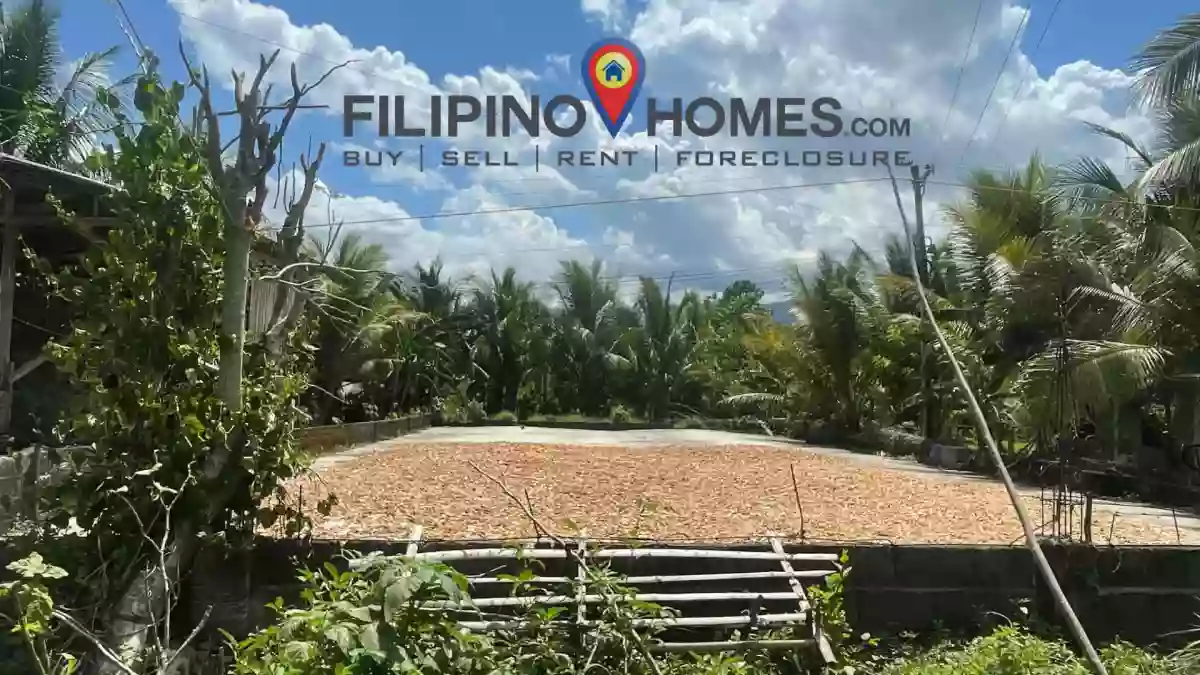 ALONG THE HIGHWAY PRIME LOT — Agricultural Lot in Kapayawi, Libungan, Cotabato — Photo 2