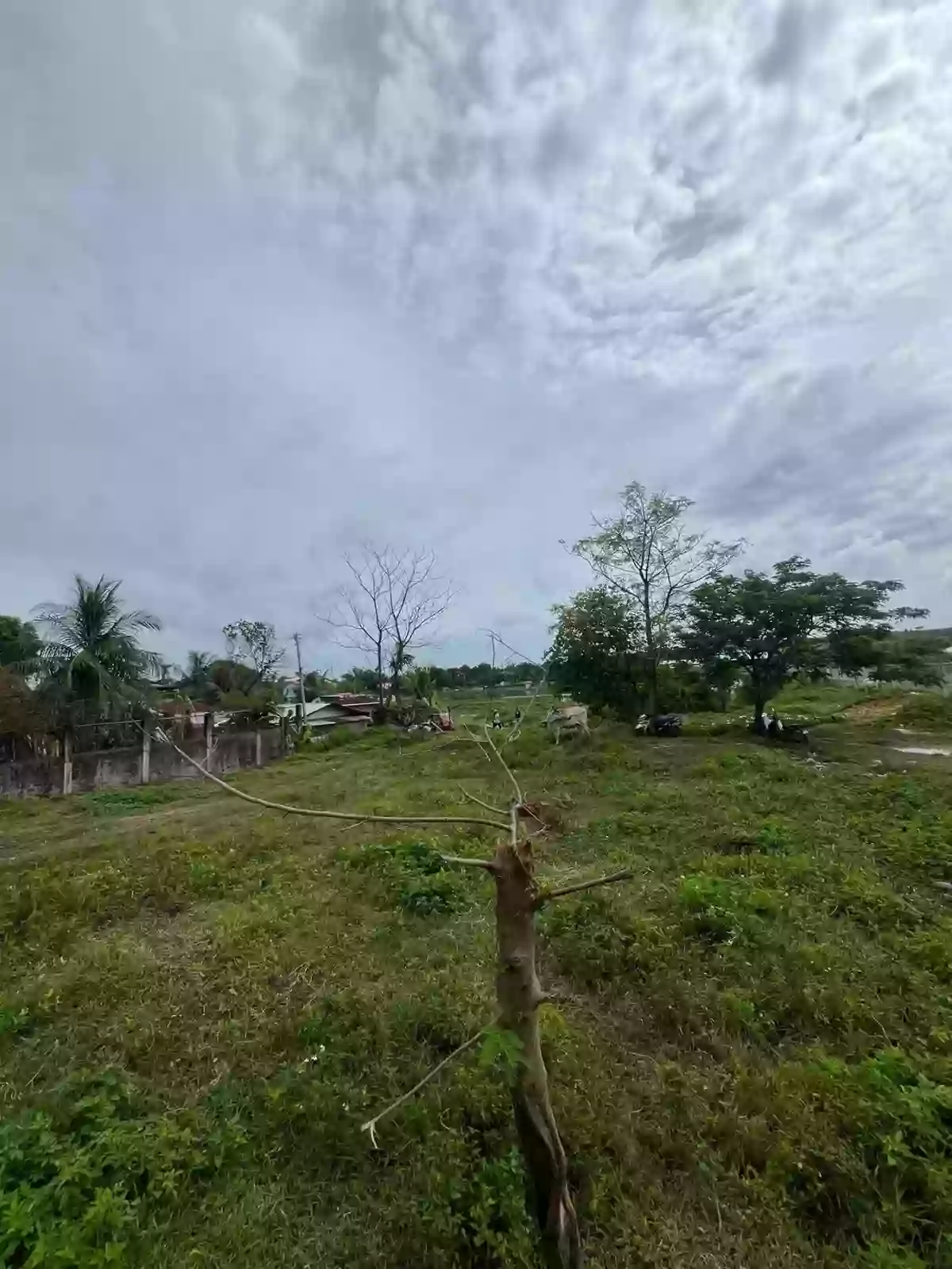 ‼️ LOT FOR SALE – TAYUD, LILOAN, CEBU ‼️ — Residential Lot in Liloan, Cebu, 6002 — Photo 4