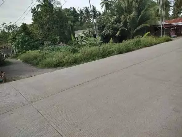 Lot For Sale: Ligaya, GSC - photo 3