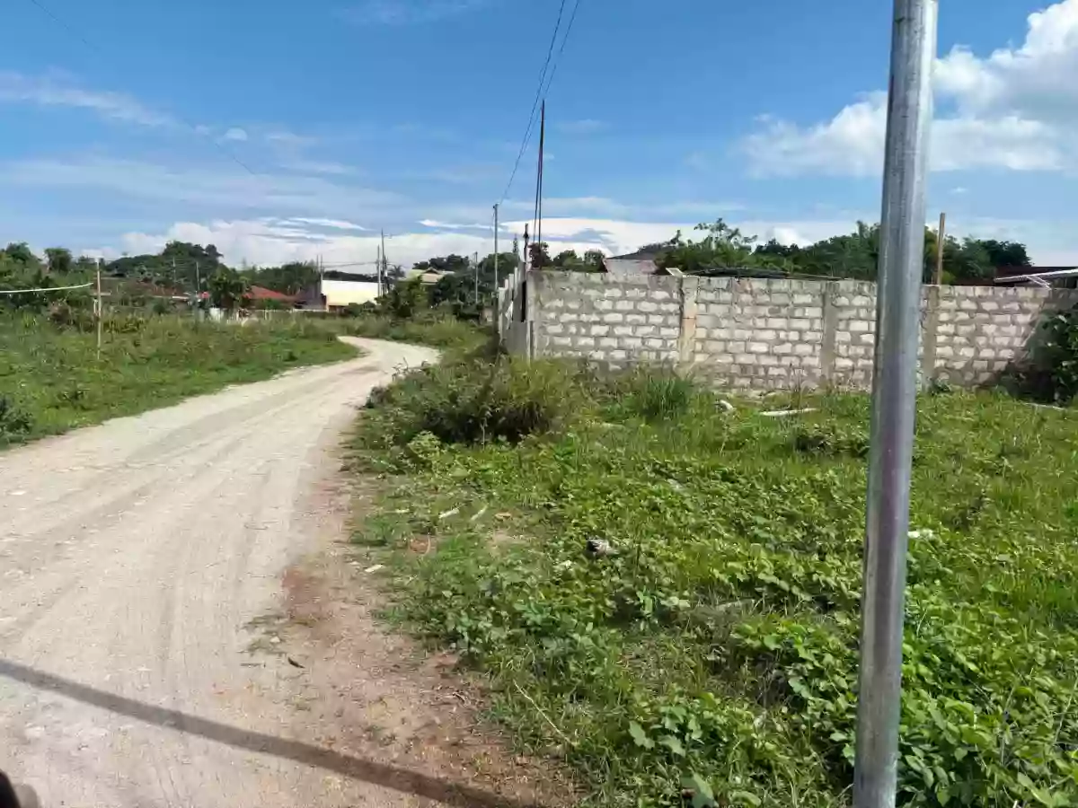 For Sale: Residential Lot in Batinguel, Dumaguete City — 150 sqm — Residential Lot in Dumaguete City, Negros Oriental, 6200 — Photo 4