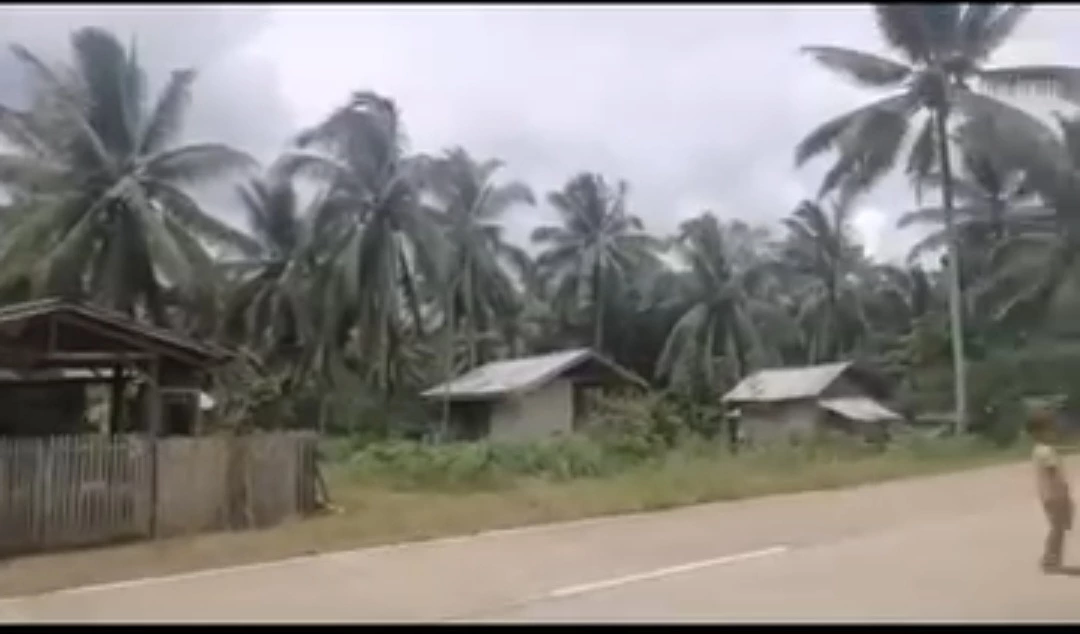 For Sale: Agricultural Lot Near Zamboanga Sibugay — 518m Road Frontage — Agricultural Lot in Domandan, Ipil, Zamboanga Sibugay — Photo 3