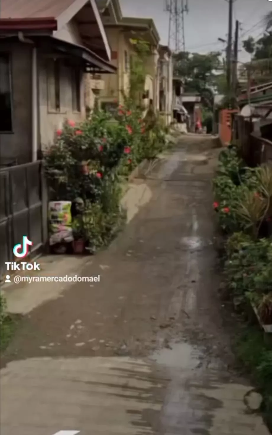 TITLED LOT With Old House FOR SALE 📍 Location: Zone Gabi Paknaan, Mandaue City, Cebu — House and Lot in Pakna-an, Mandaue City, Cebu — Photo 3
