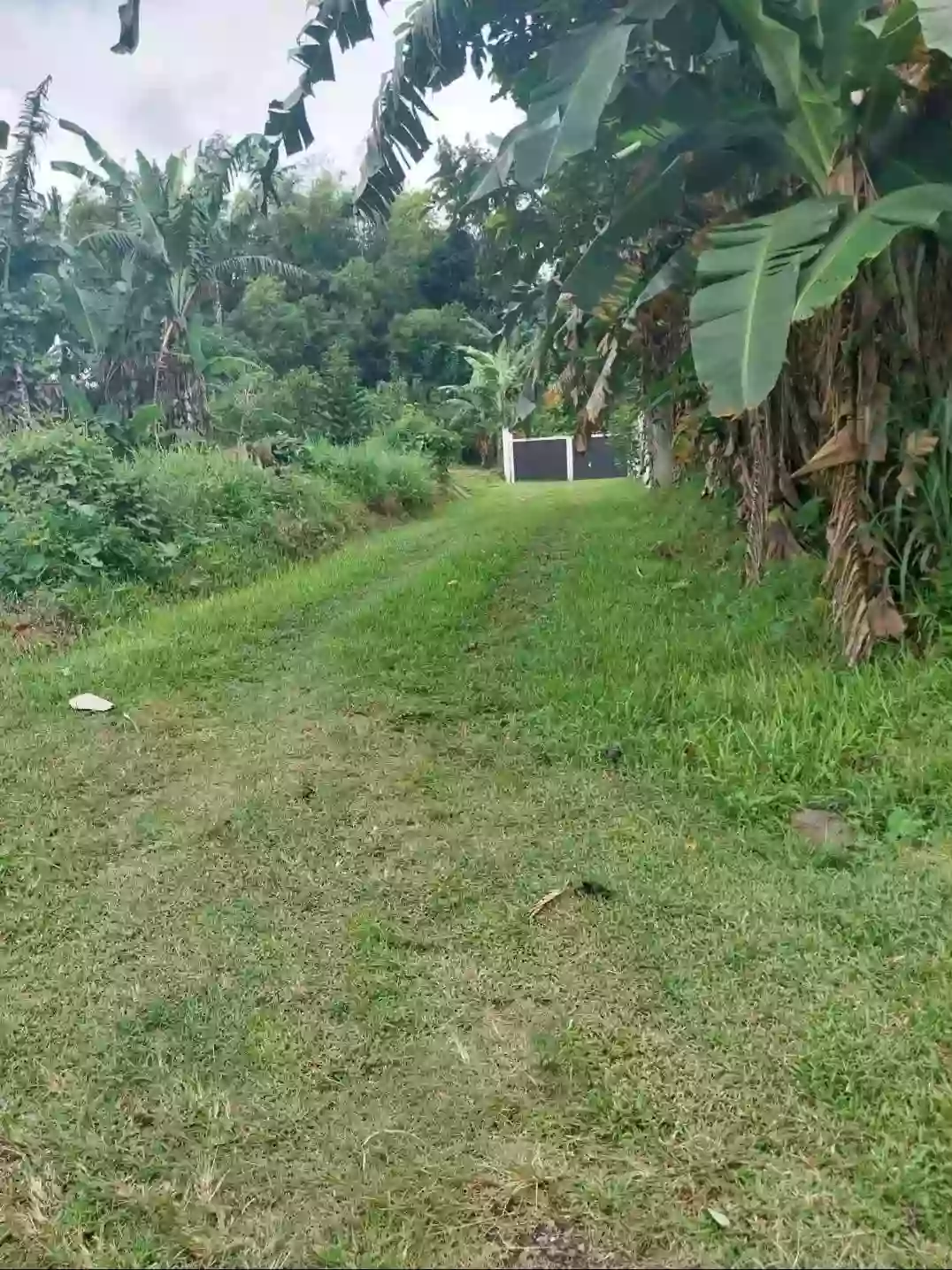 For Sale: Residential Lot Near Spoon Trail,Brgy Alangilan, Bacolod City — 1117 sqm — Residential Lot in Bacolod City, Negros Occidental, 6100 — Photo 4