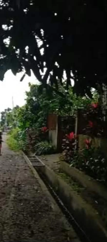 For Sale: 3BR House and Lot in Cannery Site, Polomolok — 839 sqm — House and Lot in Cannery Site, Polomolok, South Cotabato — Photo 4