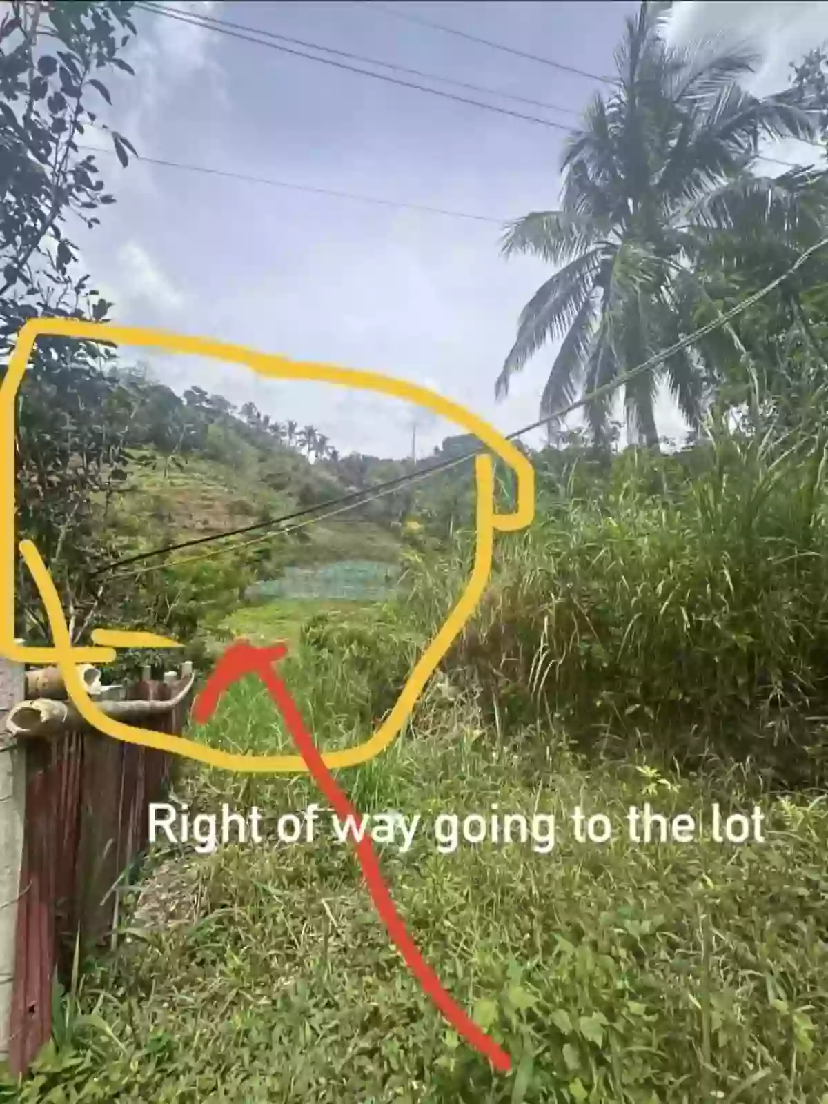 Babag Agricultural Lot for Sale in Cebu City — Investment Land