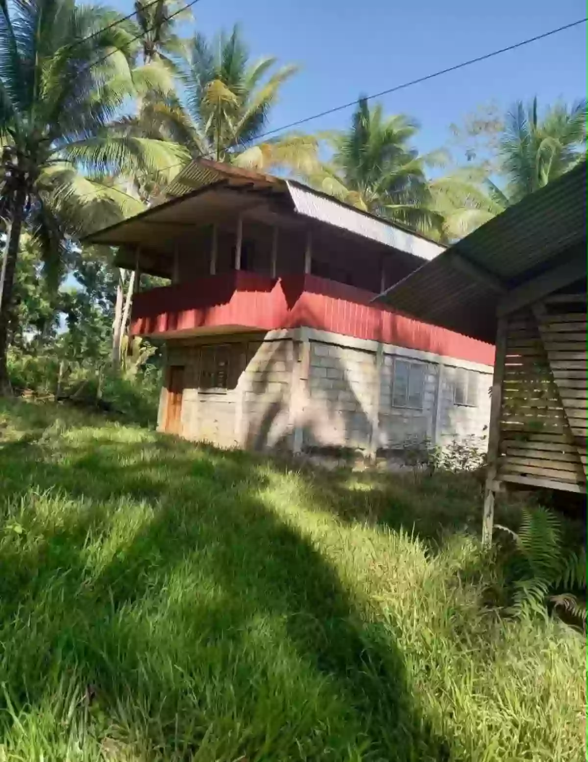 Rush Sale: 107104 sqm Agricultural Lot in Burgos, Aloran — Agricultural Lot in Burgos, Aloran, Misamis Occidental — Photo 2