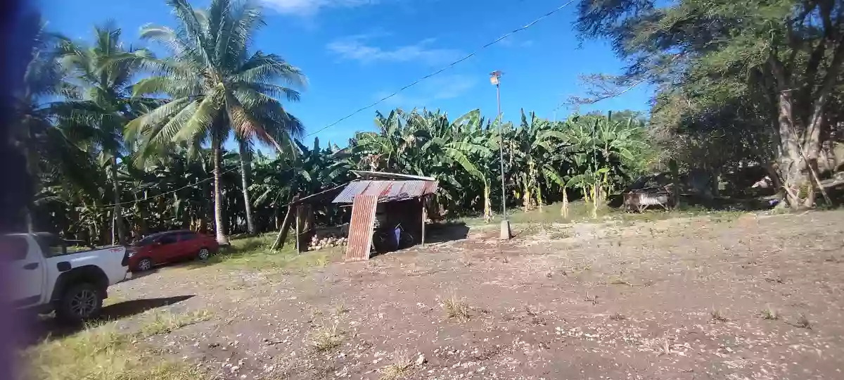 For Sale: Agricultural Lot in Conel, Gen. Santos City — 45987 sqm — Agricultural Lot in General Santos City, South Cotabato, 9500 — Photo 3