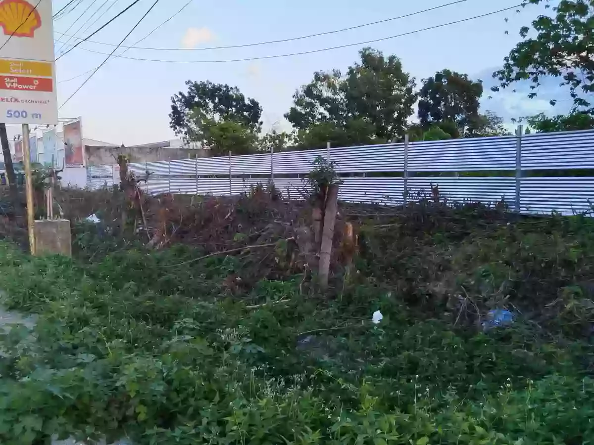 For Sale: Commercial Lot in Baan KM 3, Butuan City — 51,343 sqm — Commercial Lot in Butuan City, Agusan del Norte, 8600 — Photo 2