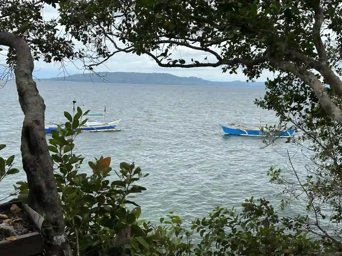 For Sale: 5996 sqm Cliff Beach Lot in Bingag, Dauis — Investment