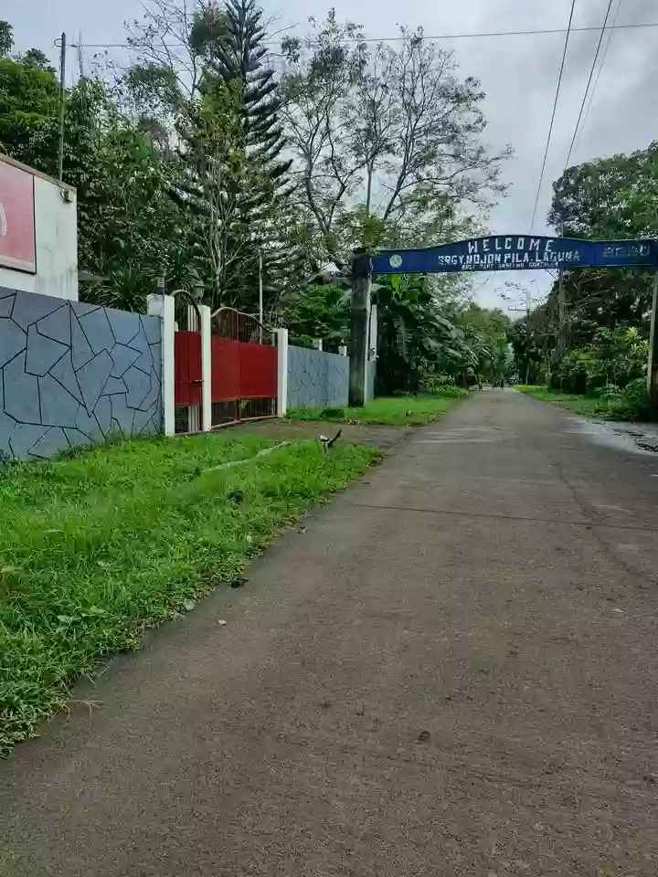 Open photo 22 of 22 — For Sale: 5BR Resort House in Pansol, Pila — 7996 sqm