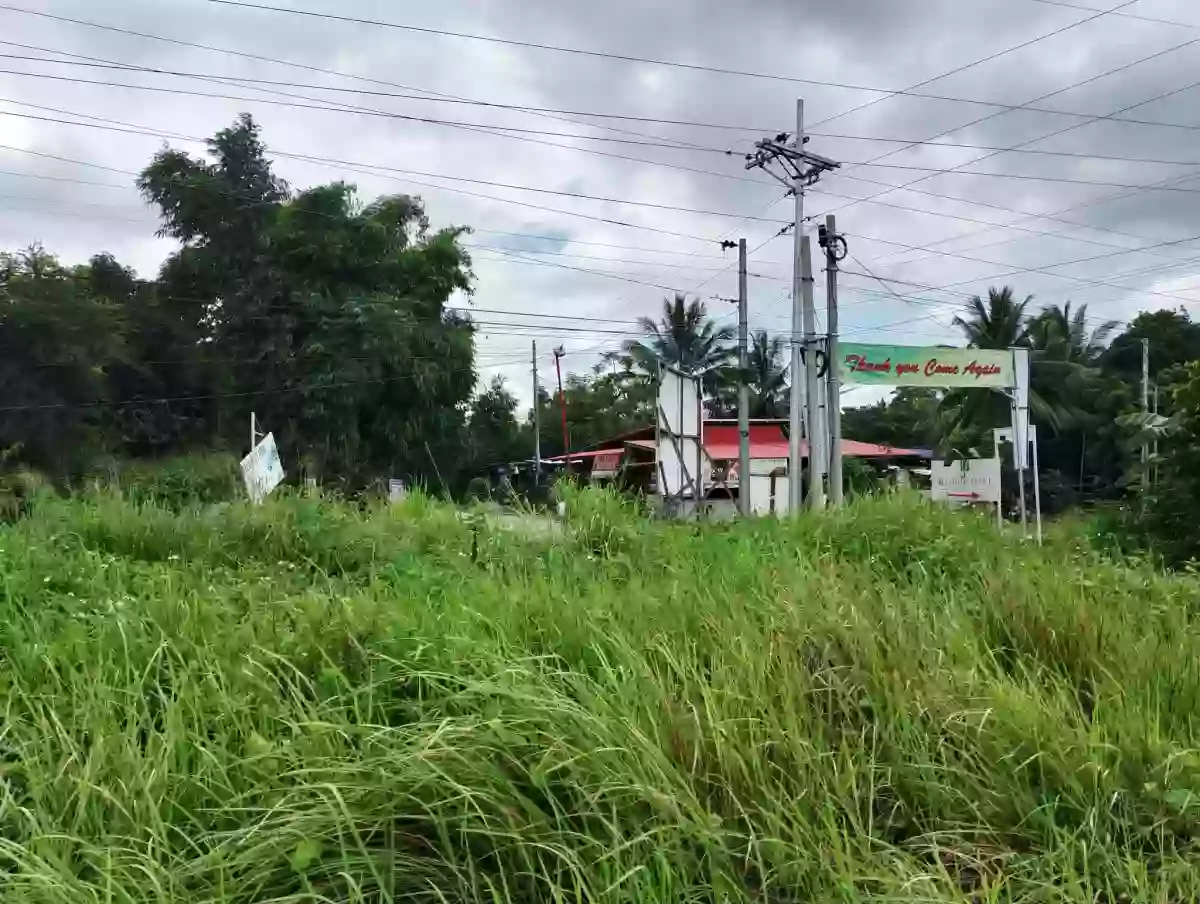 For Sale: Commercial Lot in Cannery Site, Polomolok — 2700 sqm — Commercial Lot in Cannery Site, Polomolok, South Cotabato — Photo 5