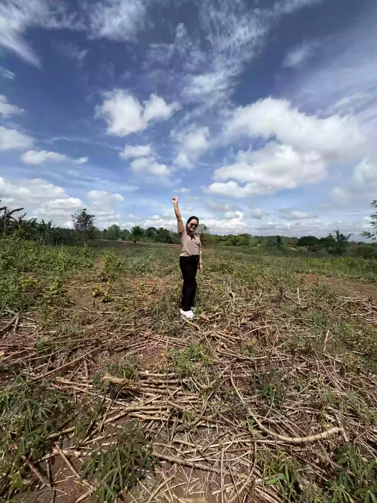 For Sale: Agricultural Lot in Liboran, Balungon, Bukidnon — 14000 sqm — Agricultural Lot in Balungon, Bukidnon, 8707 — Photo 4