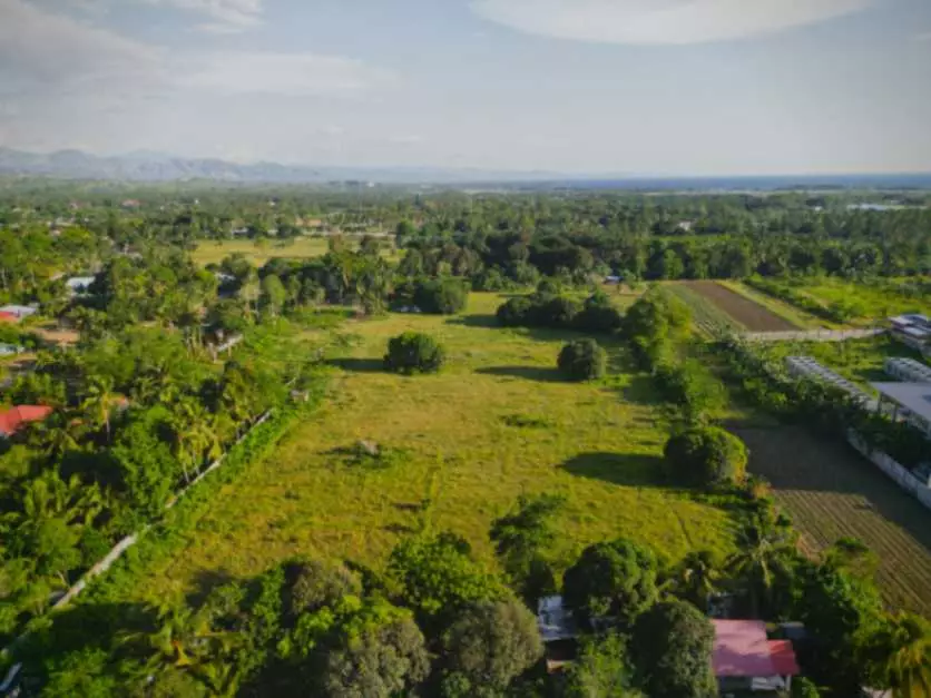 For Sale: 2 Hectare Lot in Poblacion, Alabel, Sarangani – Ideal for Investment - photo 3