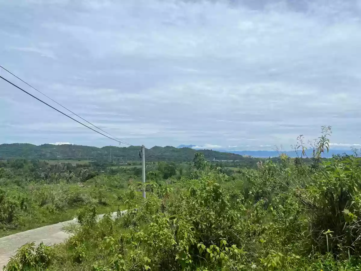 1.9 Hectare Agricultural Lot for Sale in Toledo — Agricultural Lot in Toledo City, Cebu, 6038 — Photo 4