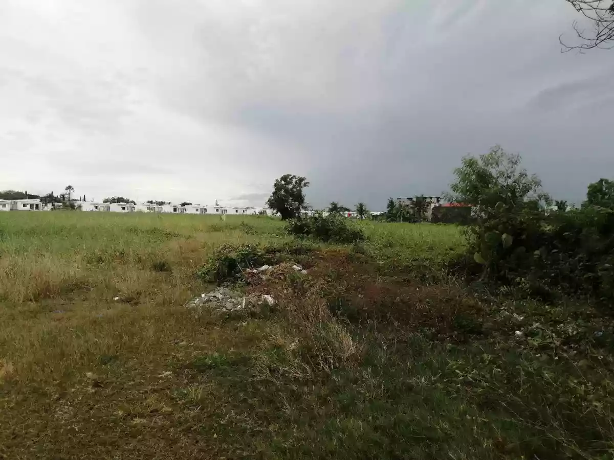 FOR SALE: Residential Lot in Tabucan, Iloilo City — 76,097 sqm — Residential Lot in Tabucan, Iloilo City, Iloilo — Photo 4