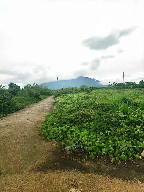 Residential Lot for Sale Near Deca Vistansa, Naga City — 208 sqm — Residential Lot in Pacol, Naga City, Camarines Sur — Photo 2