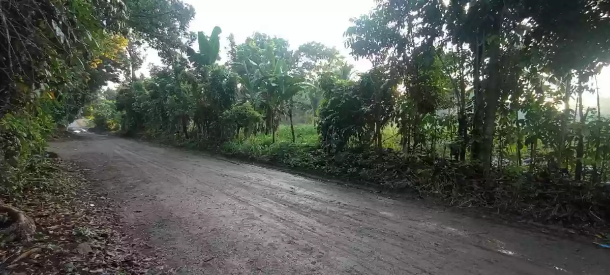 5 HECTARES OF OPPORTUNITY IN MAMBATANGAN — Residential Lot in Manolo Fortich, Bukidnon, 8703 — Photo 6