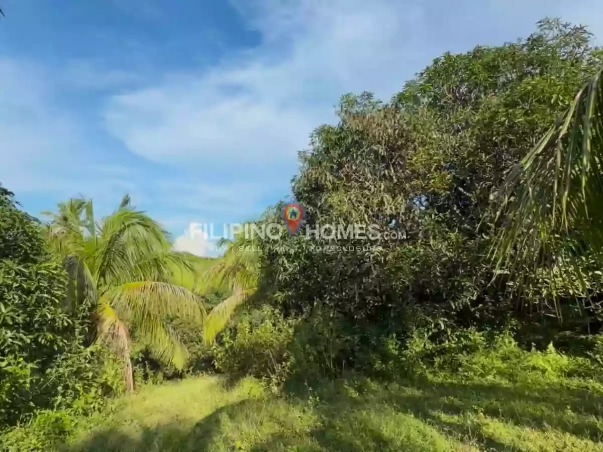 For Sale  Farm Lot — Agricultural Lot in Midsayap, Cotabato, 9410 — Photo 2