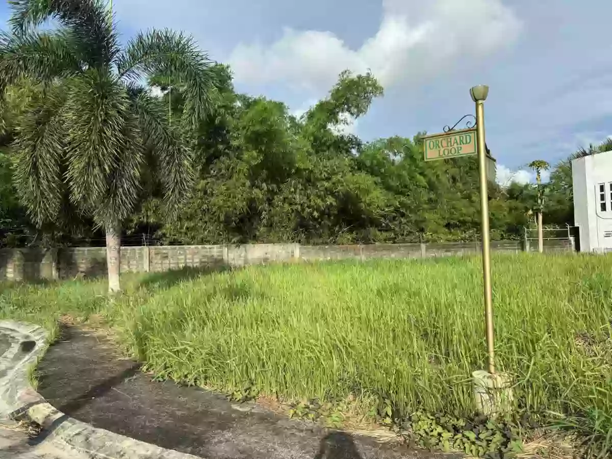 For Sale: Residential Lot in Concepcion Pequeña, Naga City — 240 sqm