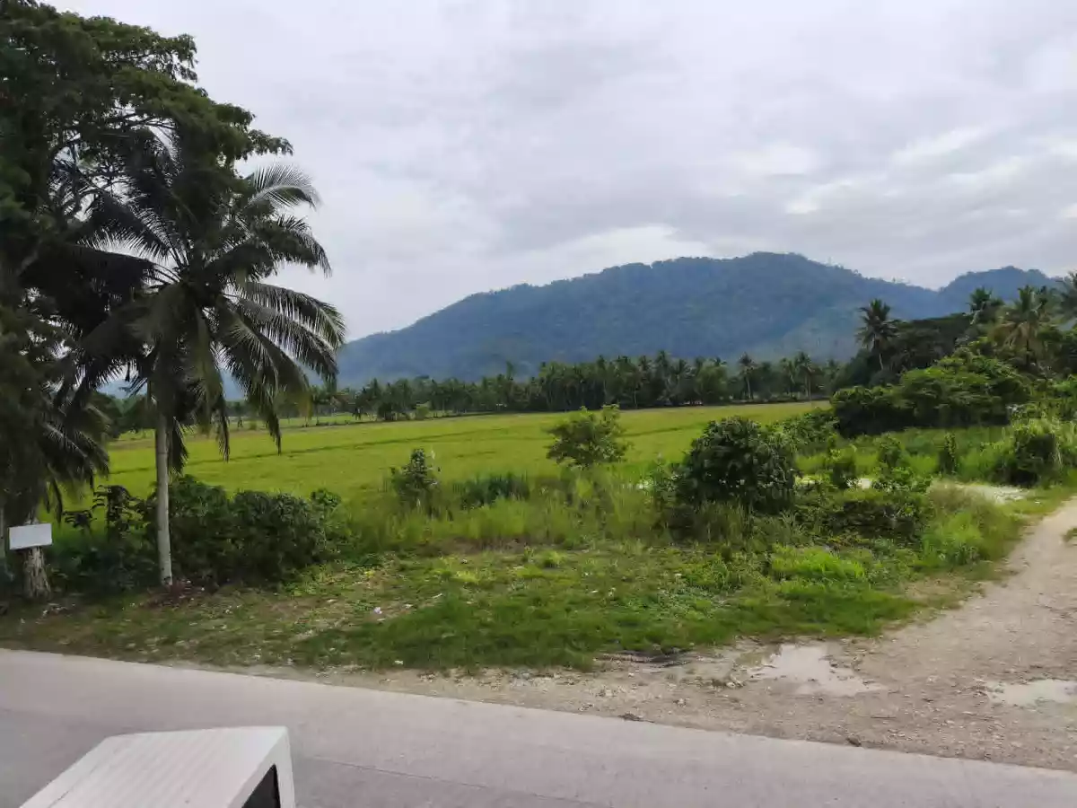 FOR SALE: Residential Lot in Barangay 5 (Pob.), San Francisco — 22,286 sqm