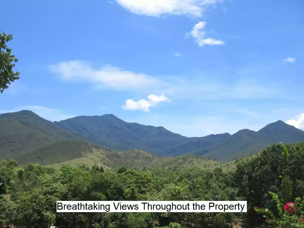 RARE OPPORTUNITY TO BUY A “TURNKEY” INVESTMENT PROPERTY APPROXIMATELY 8 HECTARES / 2 CLEAN TITLES — Agricultural Lot in Puerto Princesa City, Palawan, 5300 — Photo 3
