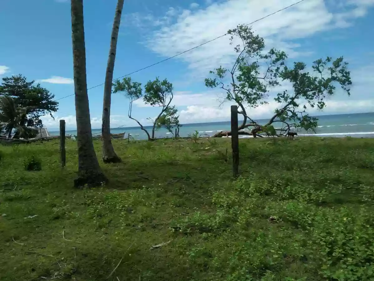For Sale: Agricultural Lot in Linangkayan, Naawan — 65393 sqm — Agricultural Lot in Naawan, Misamis Oriental, Linangkayan — Photo 7