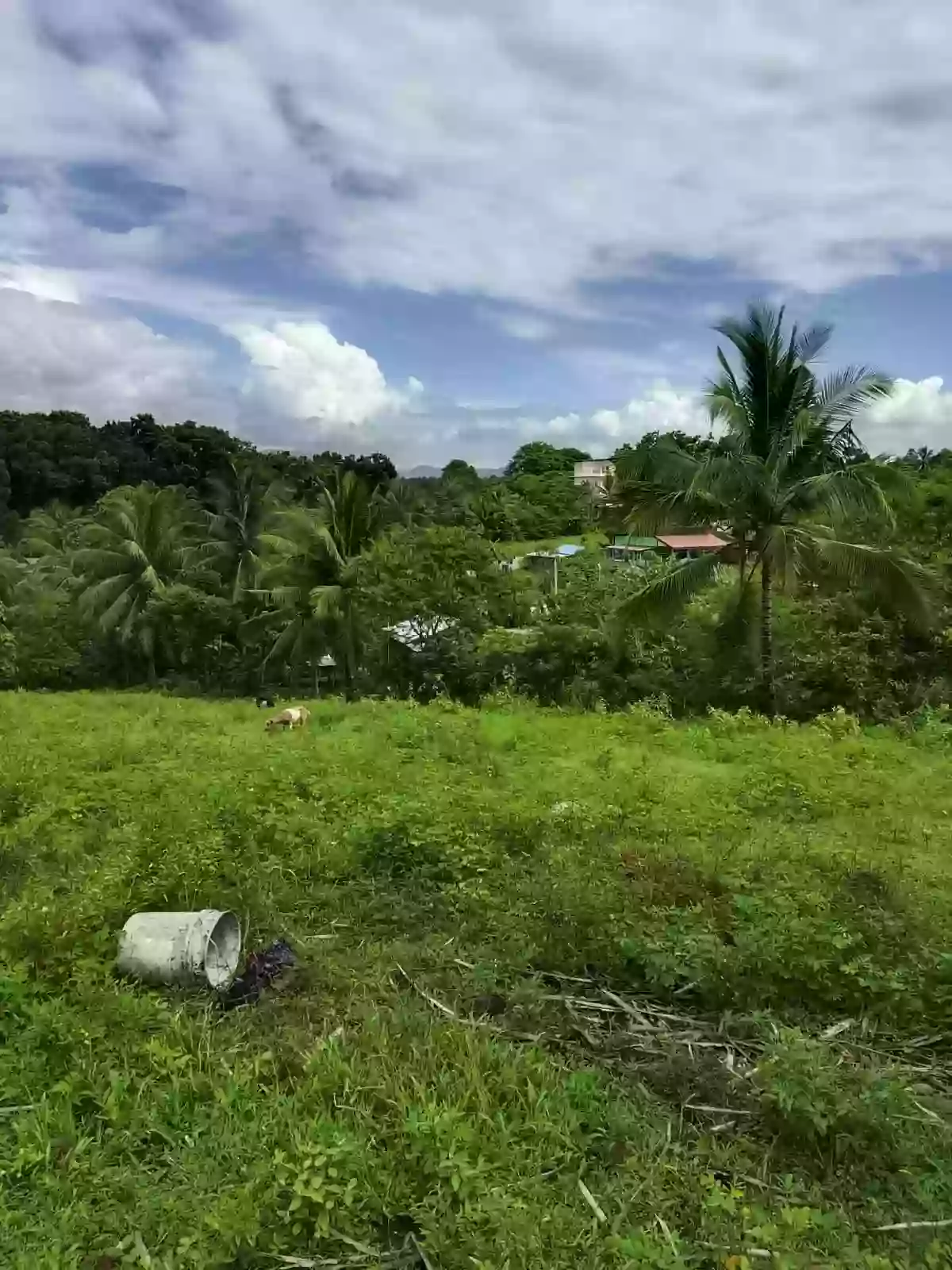 For Sale: Residential Lot in Magsaysay, Polomolok — 300 sqm