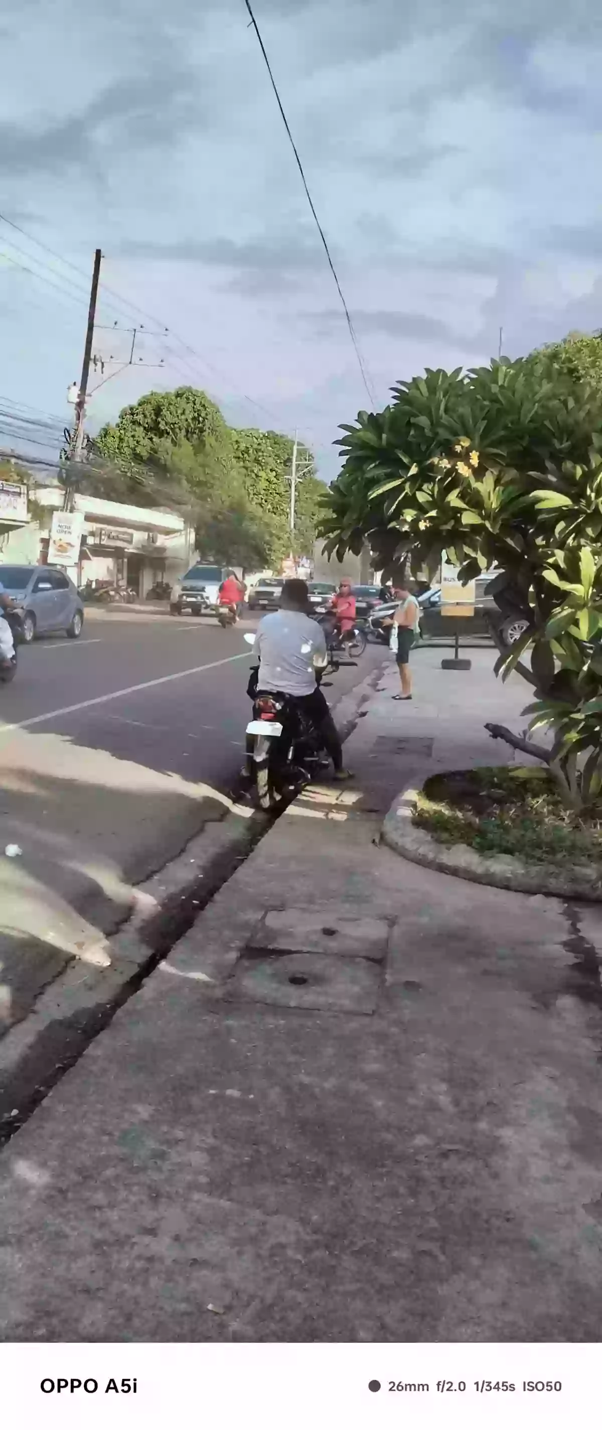 For Sale: Commercial Lot in Piapi, Dumaguete City — 898 sqm — Commercial Lot in Piapi, Dumaguete City, Negros Oriental — Photo 4