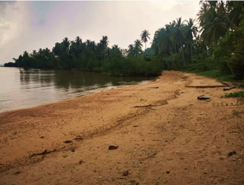 Beach Lot Property FOR SALE at PALAWAN 1.5 hectares Titled — Beach Lot in San Vicente, Palawan, 5309 — Photo 2