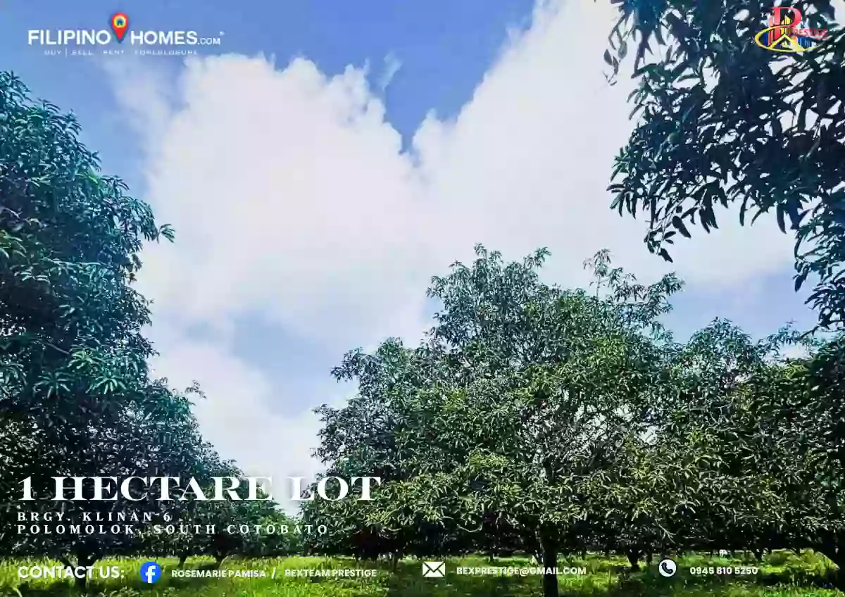 For Sale Agricultural Lot in Klinan 6, Polomolok — 10000 sqm — Agricultural Lot in Polomolok, South Cotabato, 9504 — Photo 4