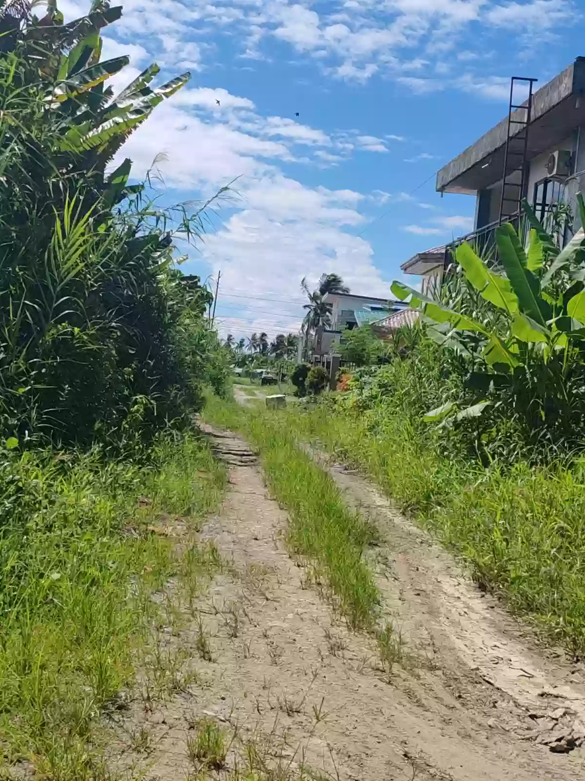 Rush Sale:CLEAN TITLED LOT Surigao City — Residential Lot in Surigao City, Surigao del Norte, 8400 — Photo 5